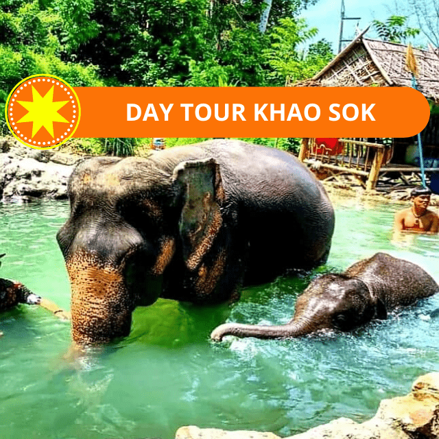 BEST DAY TOUR KHAO SOK