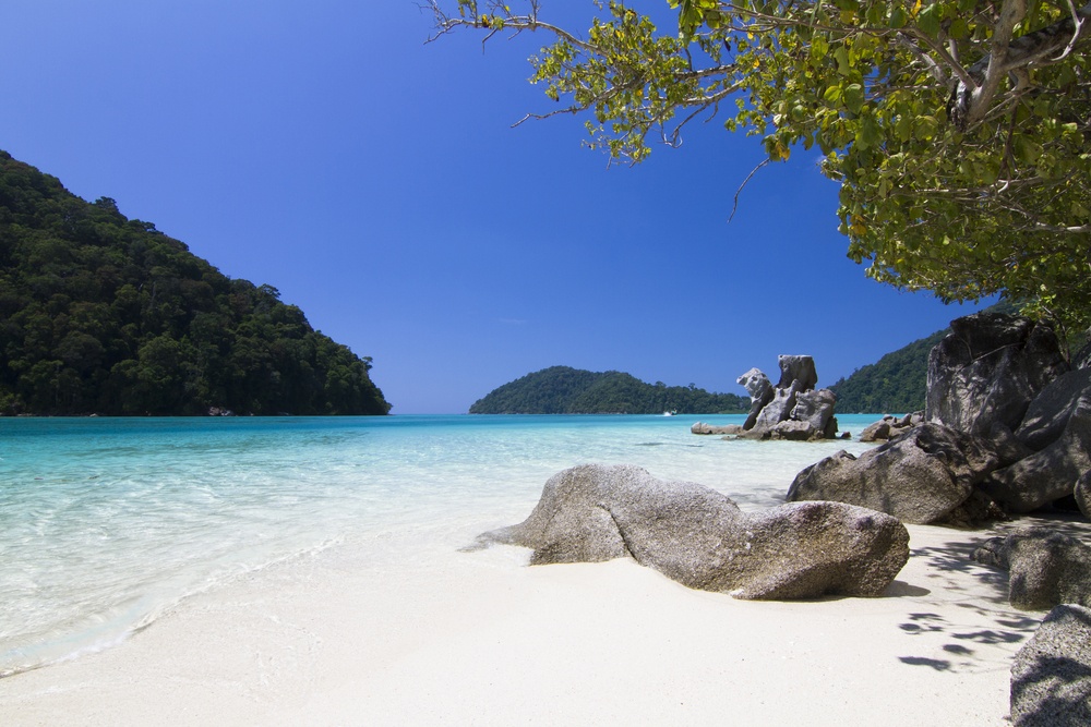 DAY TRIP SURIN ISLANDS