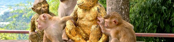 TOUR PRIVATO A PHUKET