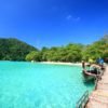 DAY TRIP SURIN ISLANDS