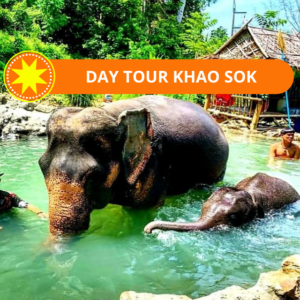 KHAO SOK JUNGLE TOURS EXPERIENCE