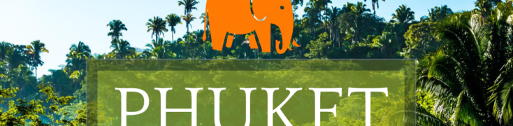 KHAO SOK JUNGLE TOURS EXPERIENCE